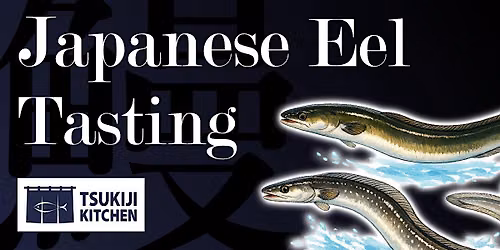 Premium vs. Standard Unagi: Japanese Eel Tasting | Ask Takuya