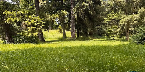 Outdoor Meditation and Sound Bath