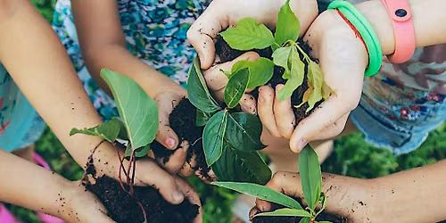 941 Gardeners Plant Sale
