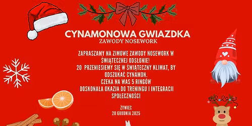 Cynamonowa Gwiazdka - zawody treningowe nosework z AmbitDog