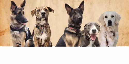 PURSE BINGO - SAVE THE DATE!