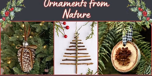 Crafting Workshop: Ornaments from Nature