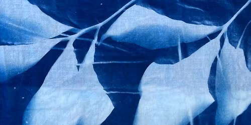 Painting with Shadows