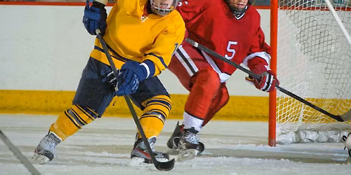 Union College Garnet Chargers at Quinnipiac Bobcats Mens Hockey
