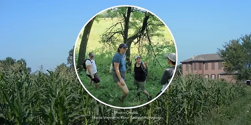 Summer Foraging for Wild Edibles