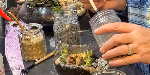Beginner Terrarium Class