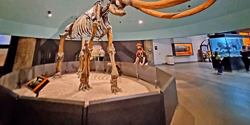 Extinct Megafauna of the La Brea Tar Pits