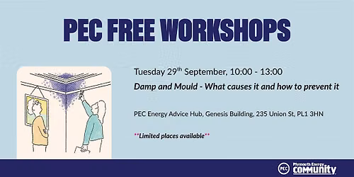Damp and Mould - What causes it and how to prevent it