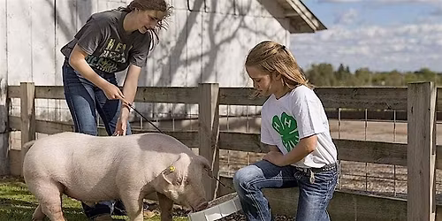 2026 Savannah Valley 4-H Market Hog Project