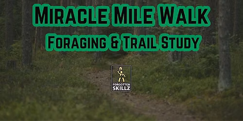 Miracle Mile - Terrell River Park (Center Moriches)