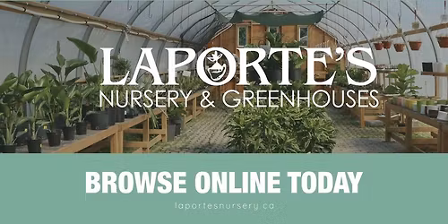 Christmas Open House