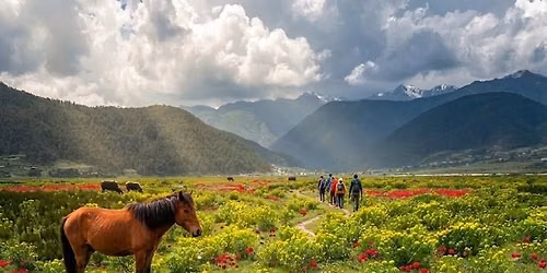 \ud83c\udfd4\ufe0f DHORPATAN \u2013 BUKIPATAN HIKING EVENT (4 days-5 night)