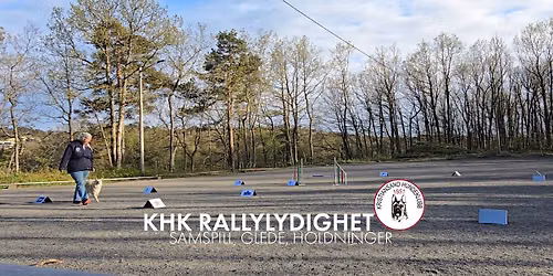 Rallystevne hos Kristiansand Hundeklubb