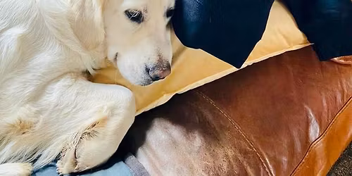 Tempo Winter Series Race 3 - 2025-26