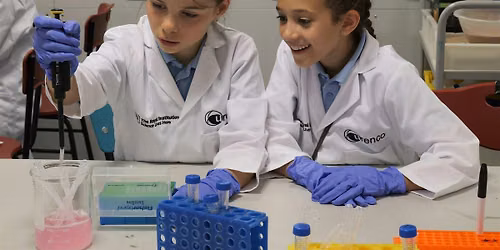 Holiday workshop: Extract your own DNA (Year 5 and 6)