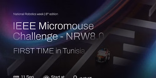 IEEE Micromouse Challenge