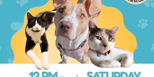 Peace, Love, And Paws Adoption Event!