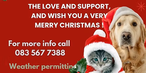 SPCA Yoga in the Park