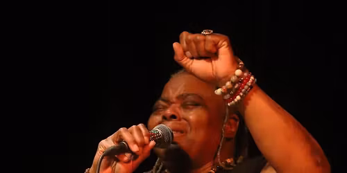 Alexis P. Suter Band