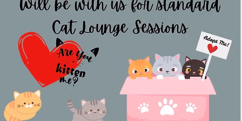 Kitten Kamp w\/ Rescue Ranch-Reserve spot online