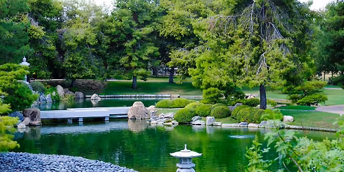 Parking Drunk Pirates - Phoenix