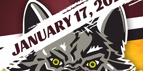 Kimball Hill Night at the Chicago Wolves Game! 