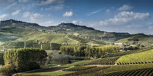Astral Wines | 8 July| SANDRONE WINE TASTING  at Fin & Grape