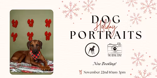 Dog Holiday Portraits