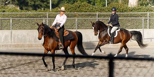 December 2025 Sunday Horse Show