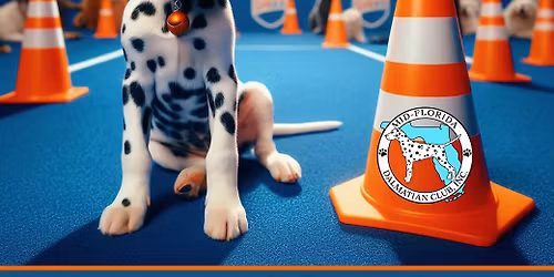 MFDC ALL BREED Rally Trial