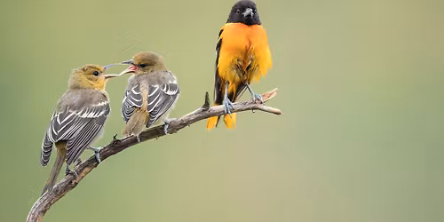 Clinton Lake \u2013 East Bloomington Field Trip