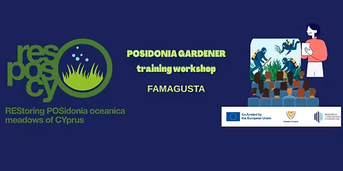 Diver training - Posidonia oceanica transplantation: FAMAGUSTA