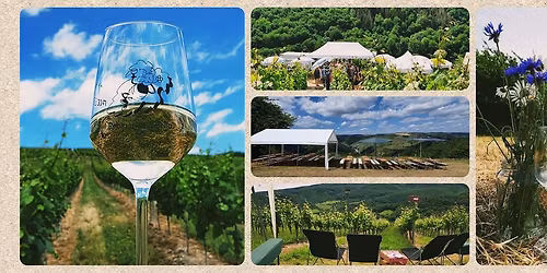 Weinwandertag - Reblauswandertag im Heimbachtal