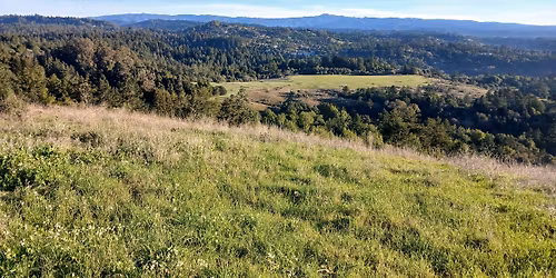 Go Wild! Santa Cruz 2 Hr, 4 Hr