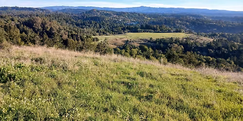 Go Wild! Santa Cruz 2 Hr, 4 Hr