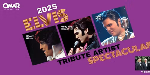 Parking The Elvis Tribute Artist Spectacular