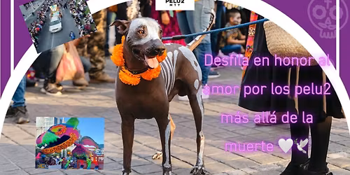 Desfile pelu2 m\u00e1s all\u00e1 de la muerte \ud83d\udc31\ud83d\udc36\ud83d\udd4a\ufe0f  no al maltrato!