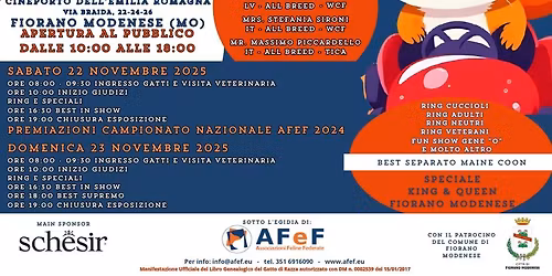 AFeF International Cat Show 