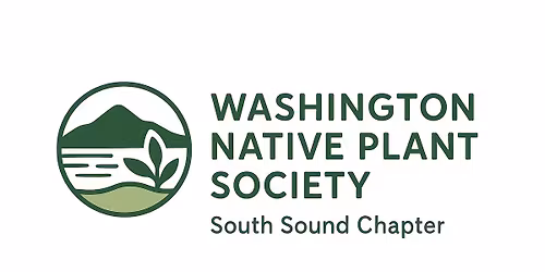 Steel Lake Park Work Party - Stewardship