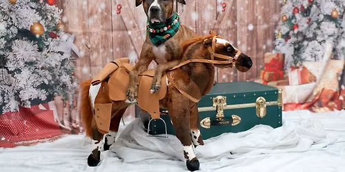 Holiday Canine Game Night @ LFL Millersville