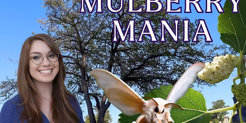 Mulberry Mania with Alecia Pendasulo