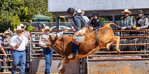 YRCA Youth Rodeo — 1140 Fish Hatchery Rd. Lakeland FL