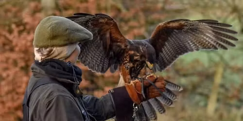 Hunting with Hawks and Cooking with Fire