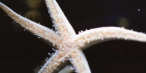 Seattle Film Photography Meetup - April