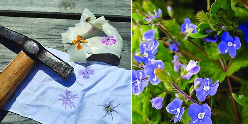 Flower printing workshop