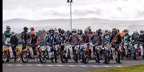 Mallory Park Revival