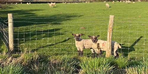 CPR & Defib training