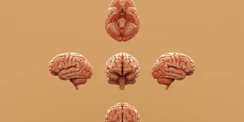 Foredrag: At have det godt, mens man g\u00f8r godt