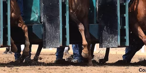 Quarter Horse Meet
