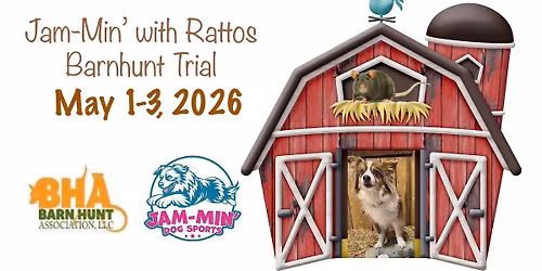 Jam-Min' with Rattos Barn Hunt Trial